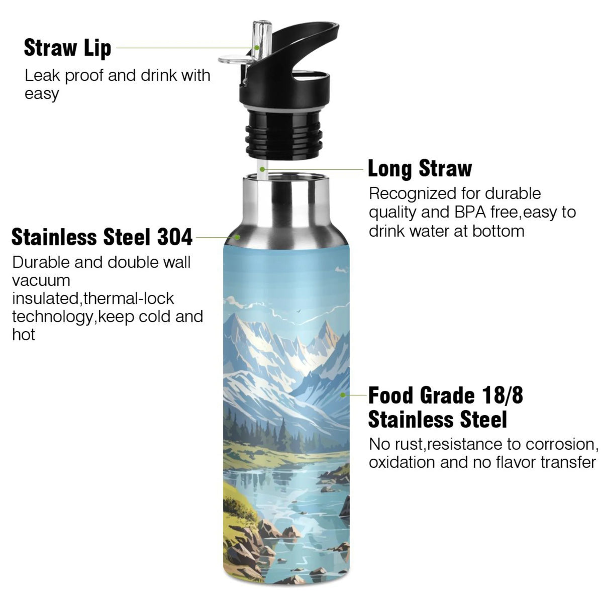 Insulated Stainless Steel Water Bottle with Straw Lid 20 oz C8763