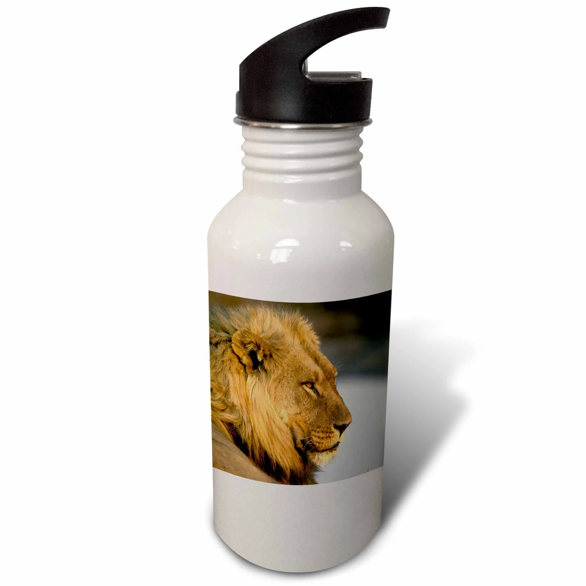 21 oz Sports Water Bottle W44733