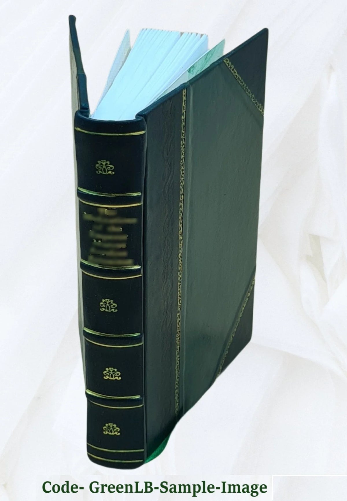 Leather Bound Book A153032