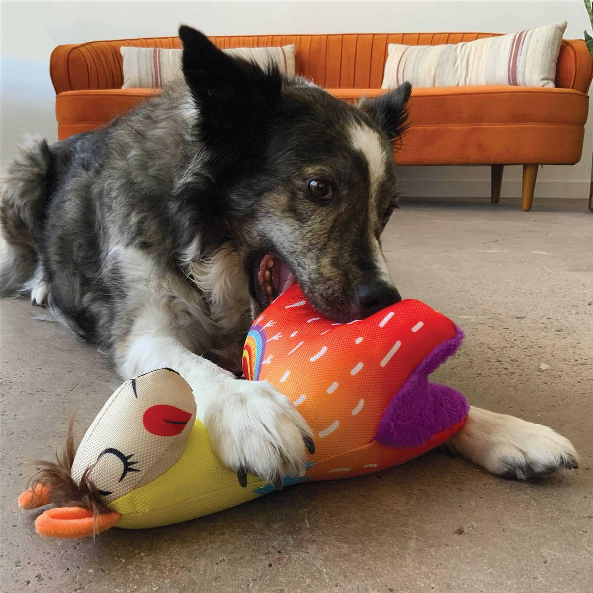 Dog Toy C794