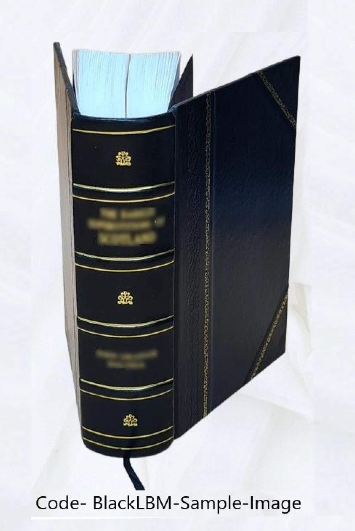 Small Electrical Utilities Nuclear Power Hearings 1968 Leather Bound J98434
