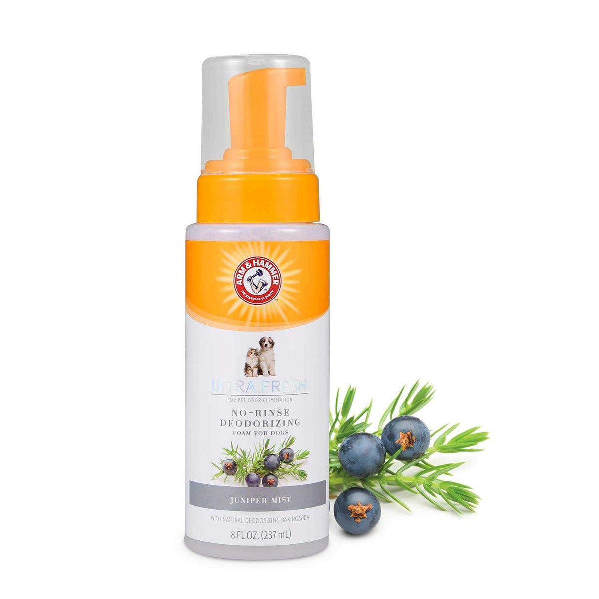 No Rinse Deodorizing Foam for Dogs O50555