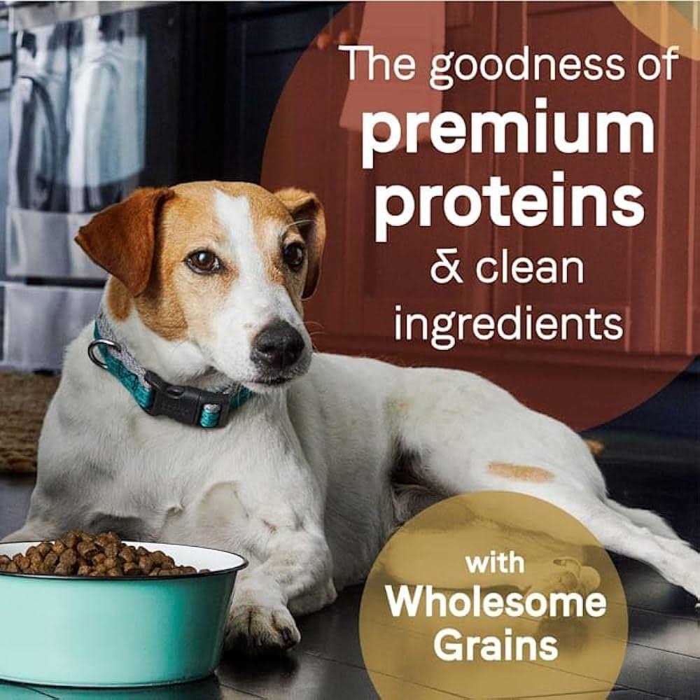 Grain Free Salmon & Sweet Potato Dry Dog Food J9049