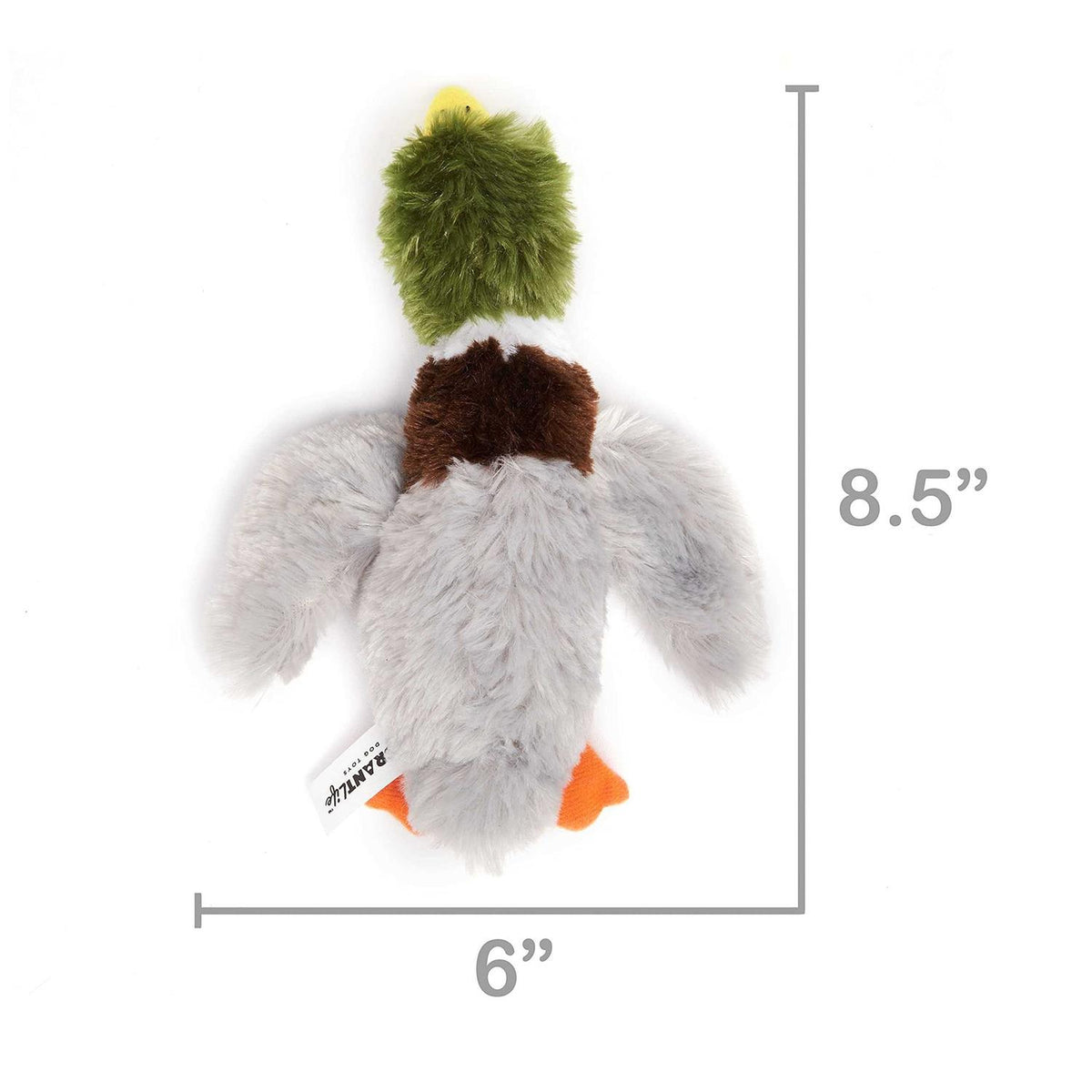 Duck Training Toy Z753740