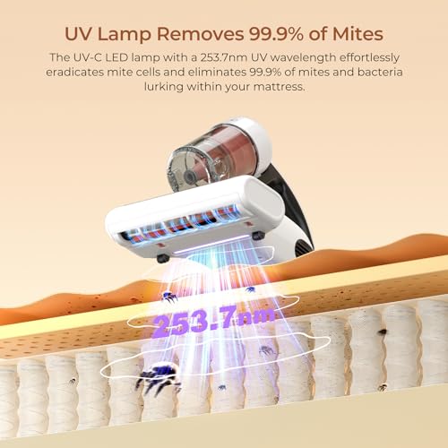 500W 13Kpa Corded Mattress Vacuum Cleaner R888