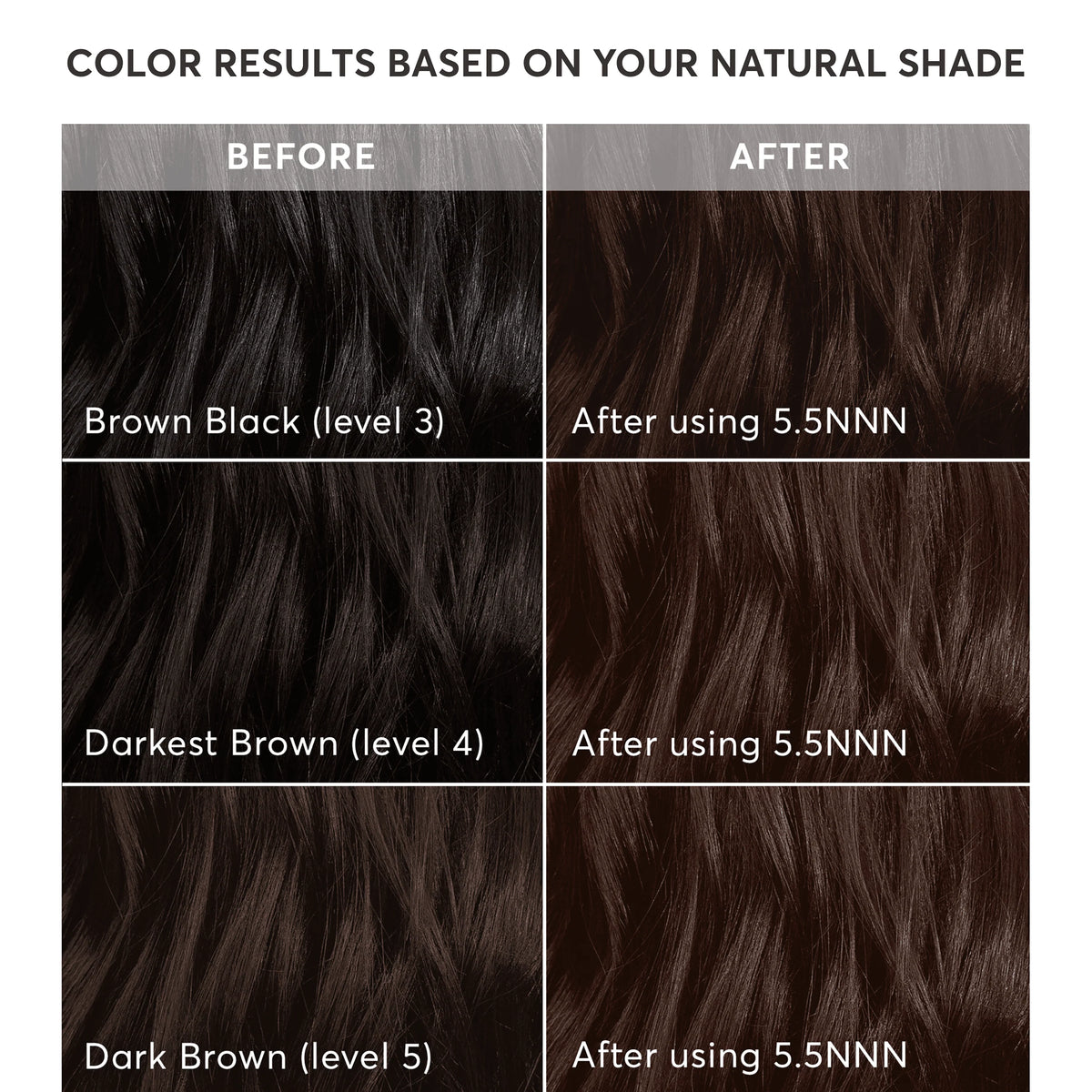 Permanent Hair Color Kit, True Medium Brown, 8-Piece Kit I7709