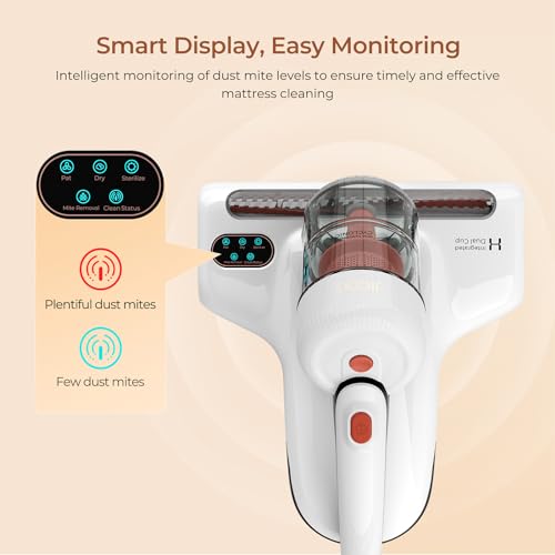 500W 13Kpa Corded Mattress Vacuum Cleaner R888