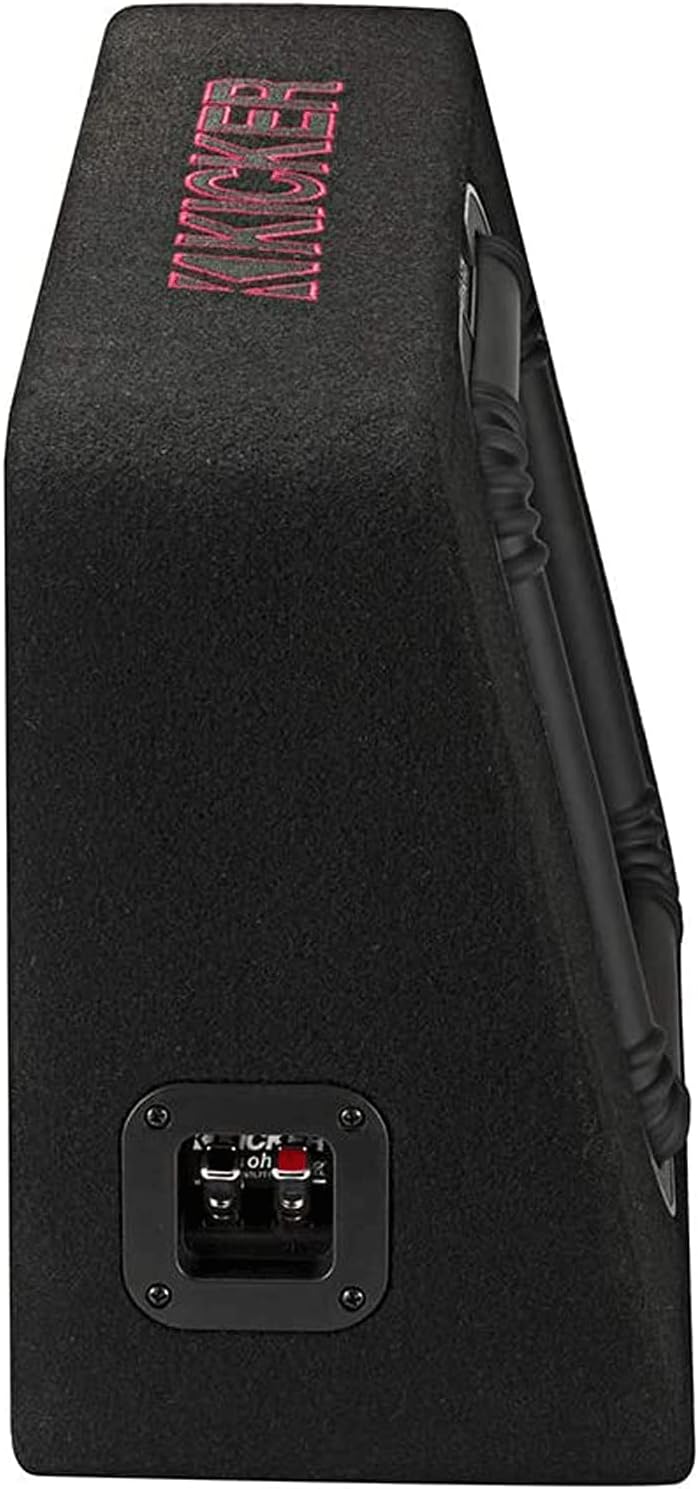 10 Inch 2 Ohm 500 Watt RMS Subwoofer Enclosure, Black C39226