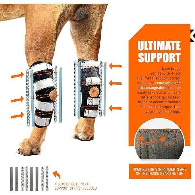 3-in-1 Dog Rear Leg Support Splint Braces O928565