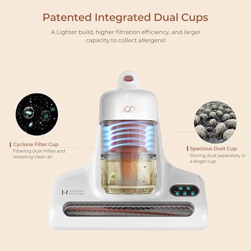 500W 13Kpa Corded Mattress Vacuum Cleaner R888