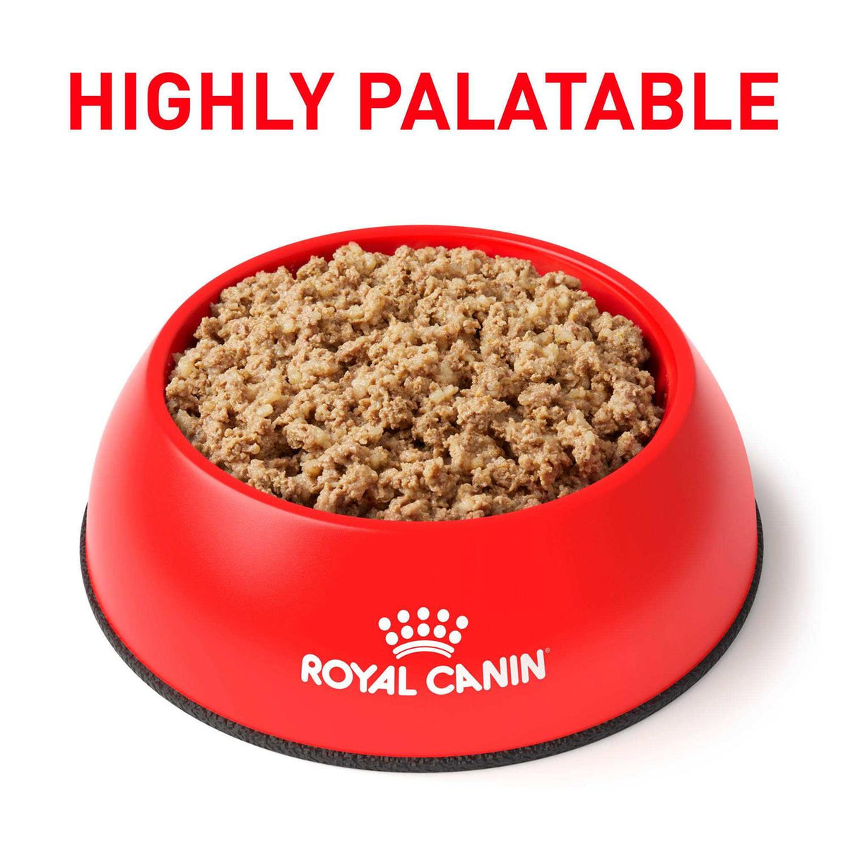 Canned Dog Food P8232