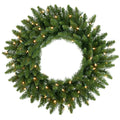 24 Inch Camdon Fir Wreath with 50 Clear Lights F5070