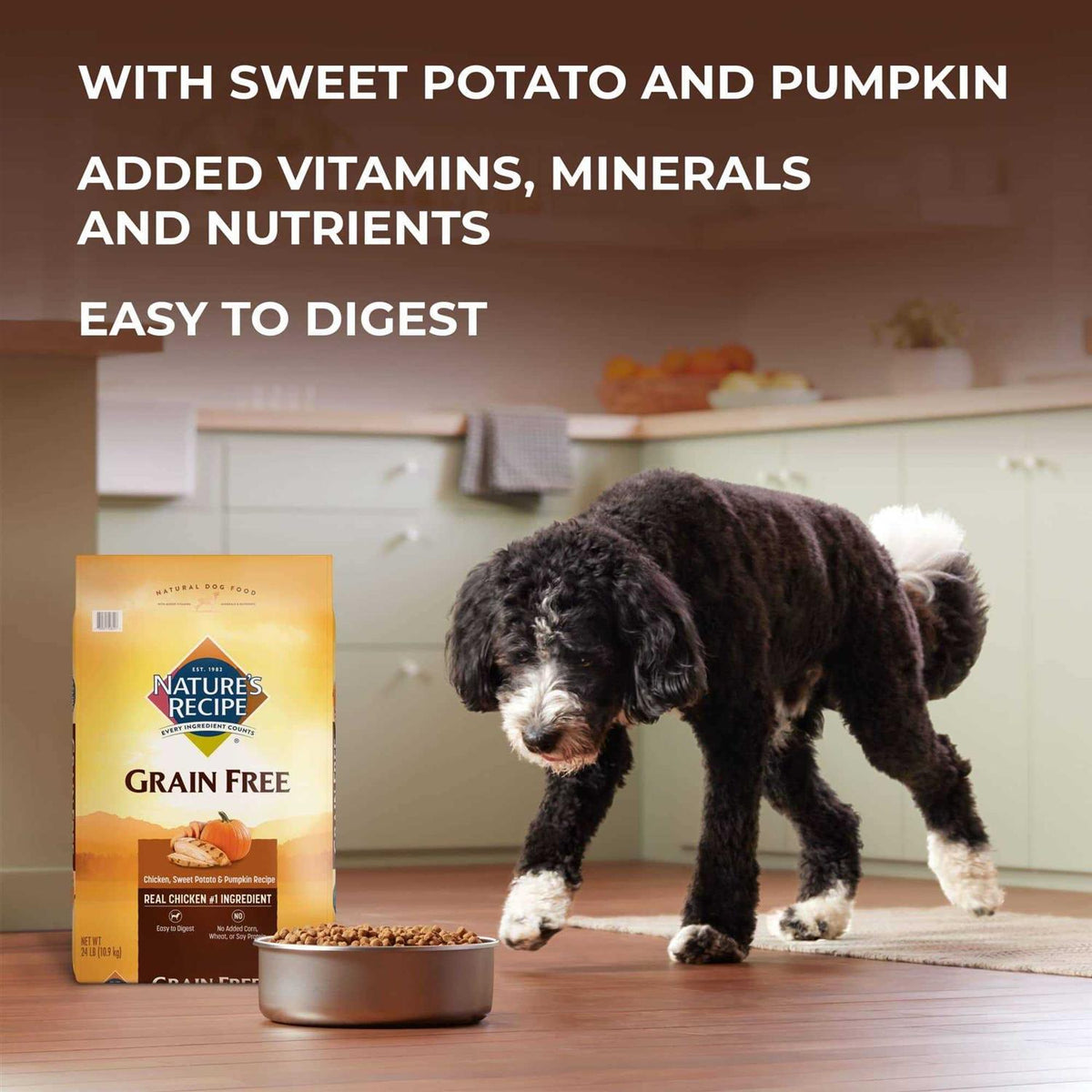 Grain Free Chicken Dry Dog Food Y54184