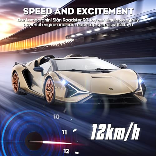 1:16 Scale Remote Control Car with LED Light D504632