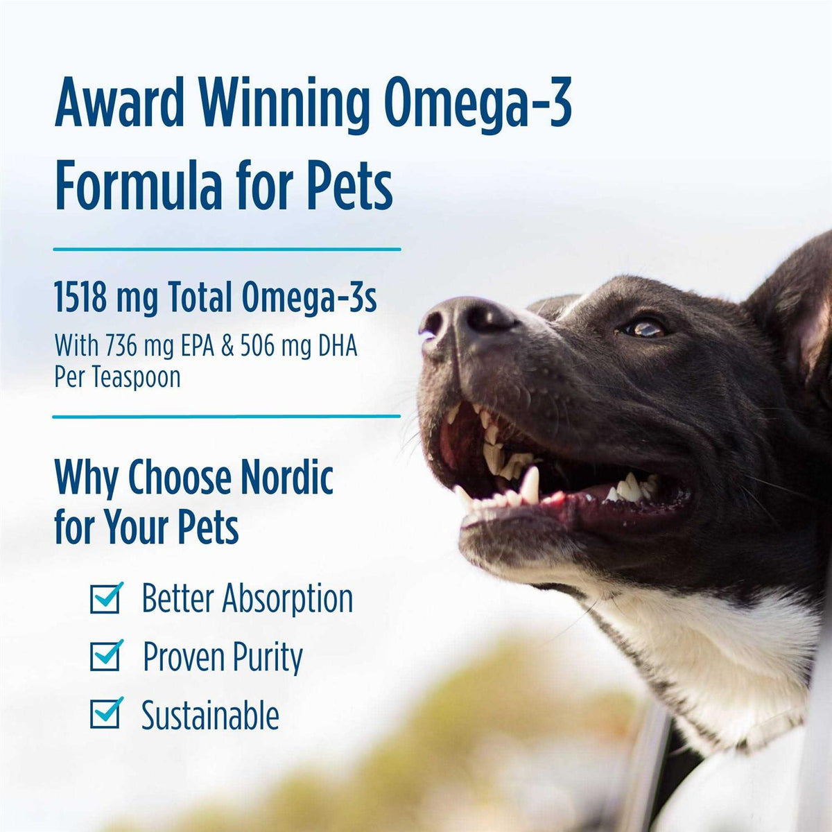 Omega 3 Pet M87354