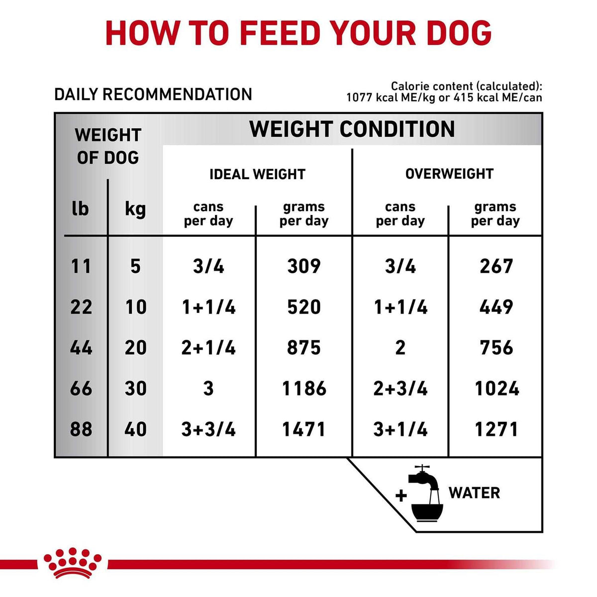 Canned Dog Food P8232