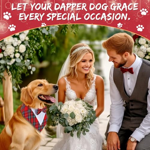 2 Pcs Christmas Dog Tuxedo Outfit Q211407