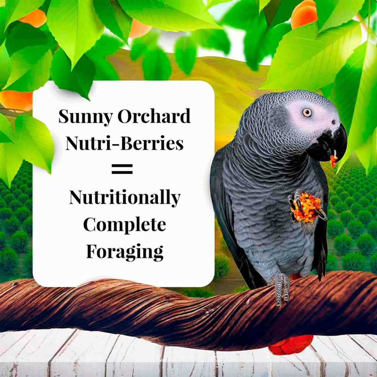 Sunny Orchard Pet Supplies N9838