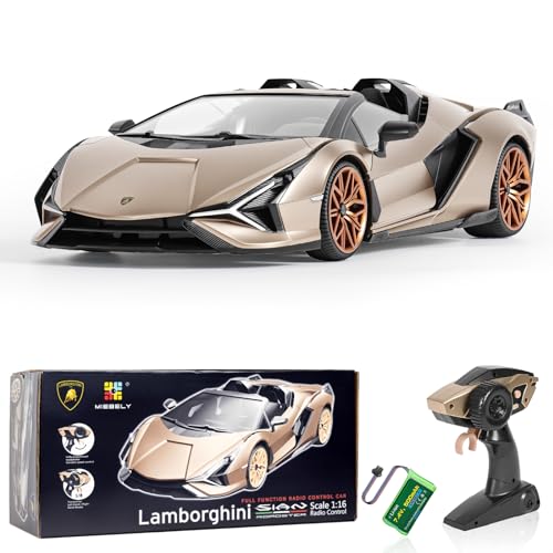 1:16 Scale Remote Control Car with LED Light D504632