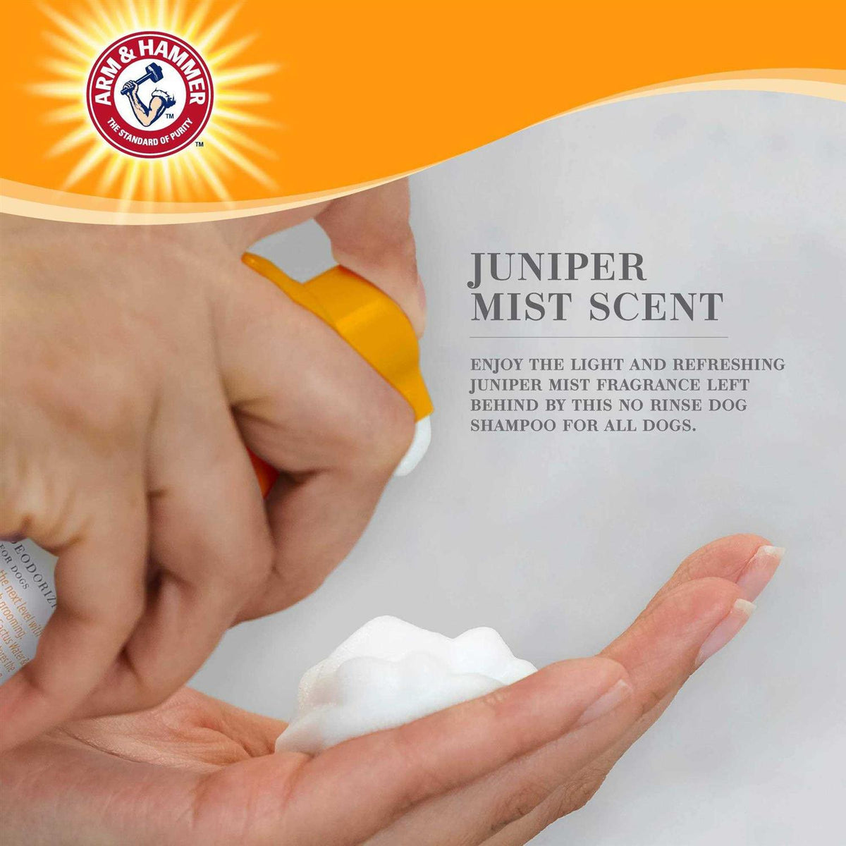 No Rinse Deodorizing Foam for Dogs O50555