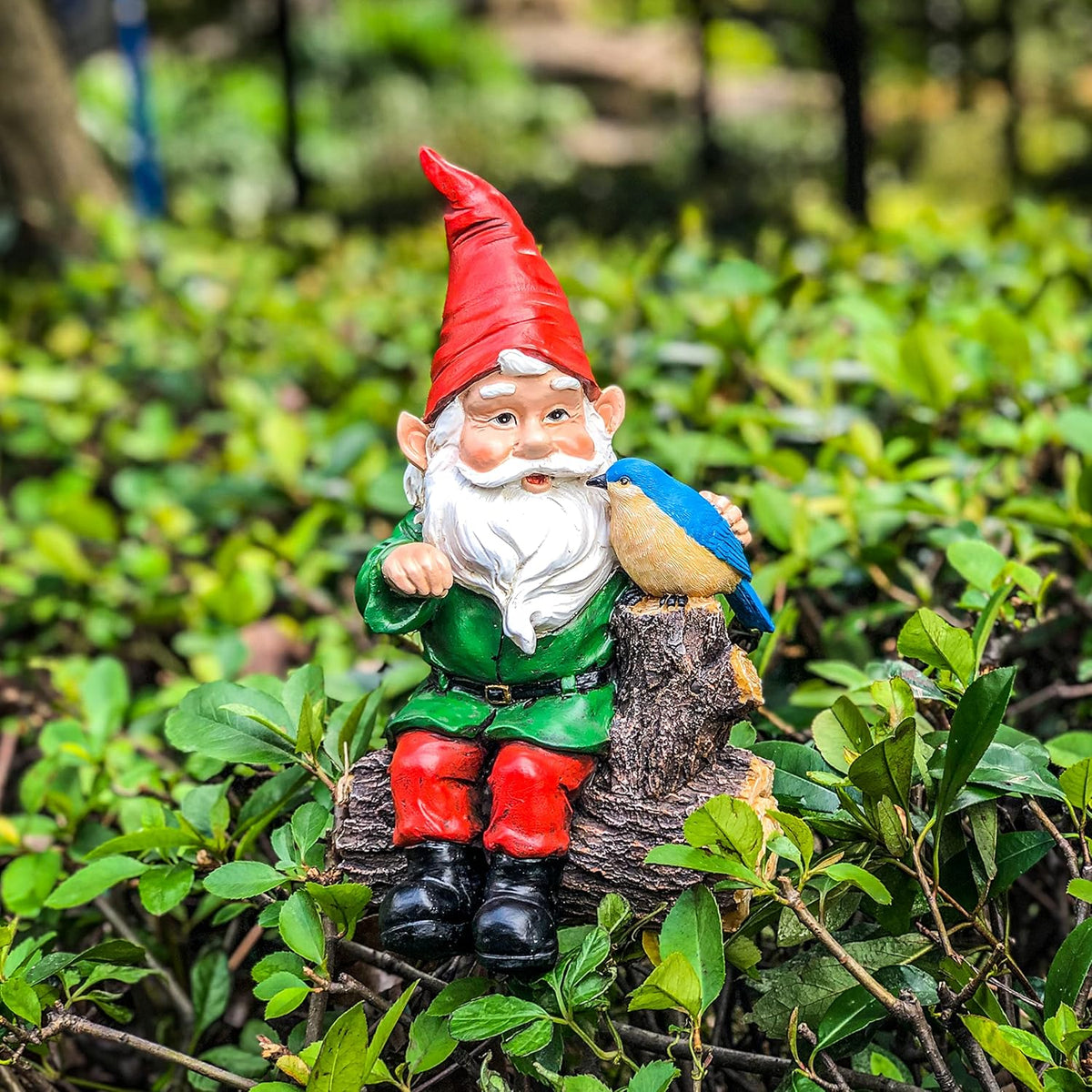 Outdoor Gnome Statue with Bird Statue V643
