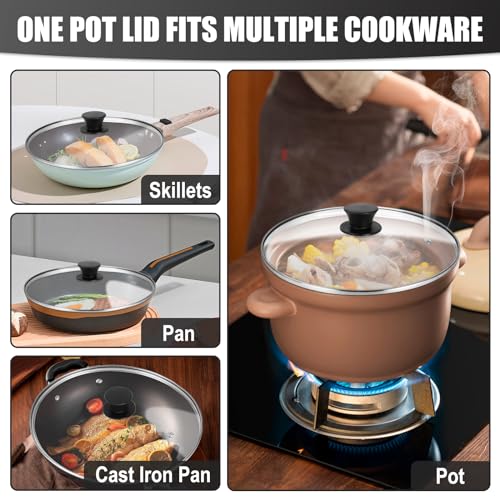 10 Inch Tempered Glass Pot Lid with Heat Resistant Handle R955519