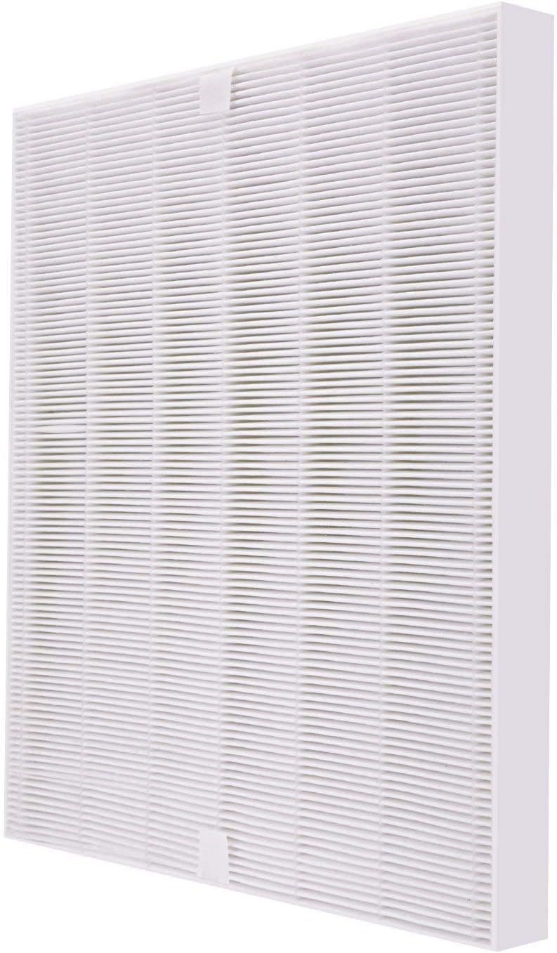 True HEPA Replacement Filter with 2 Carbon Filters Pack of 2 A1363
