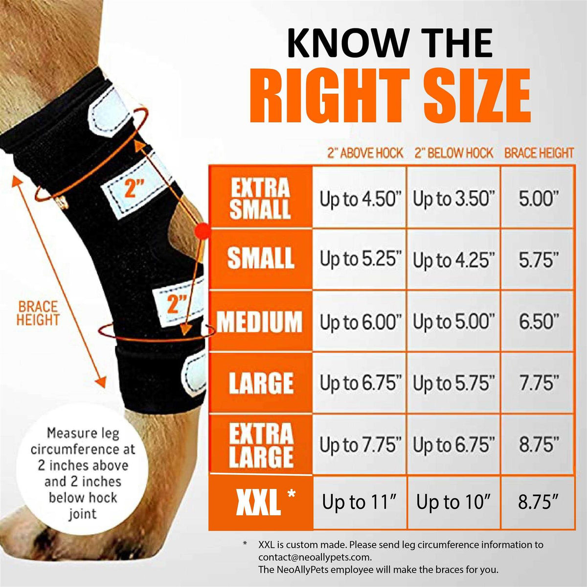 3-in-1 Dog Rear Leg Support Splint Braces O928565
