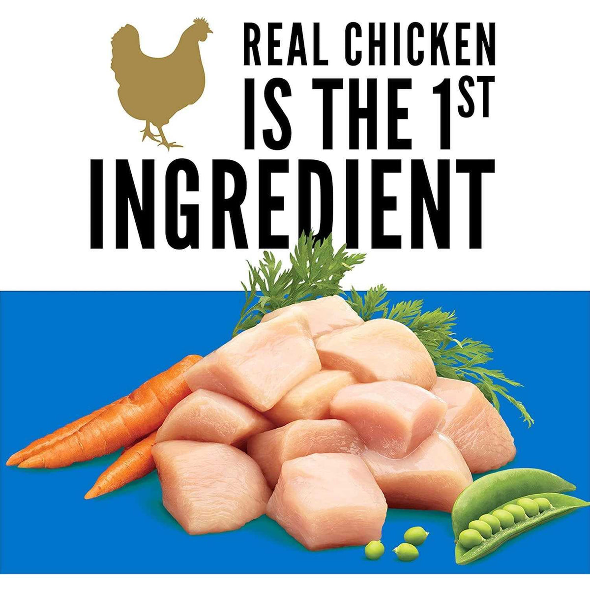 Chicken & Spring Vegetables Dry Dog Food V681281