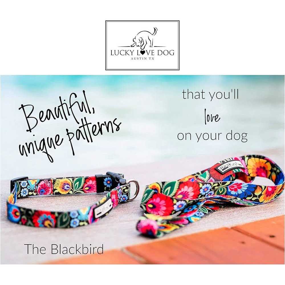 Martingale Dog Collar No Slip F717562