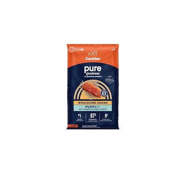 Grain Free Salmon & Sweet Potato Dry Dog Food J9049