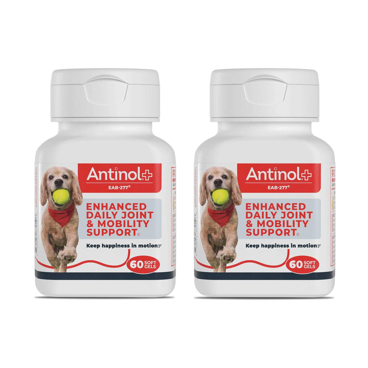 Green-Lipped Mussels and Krill Oil Dog Joint Supplement R6637