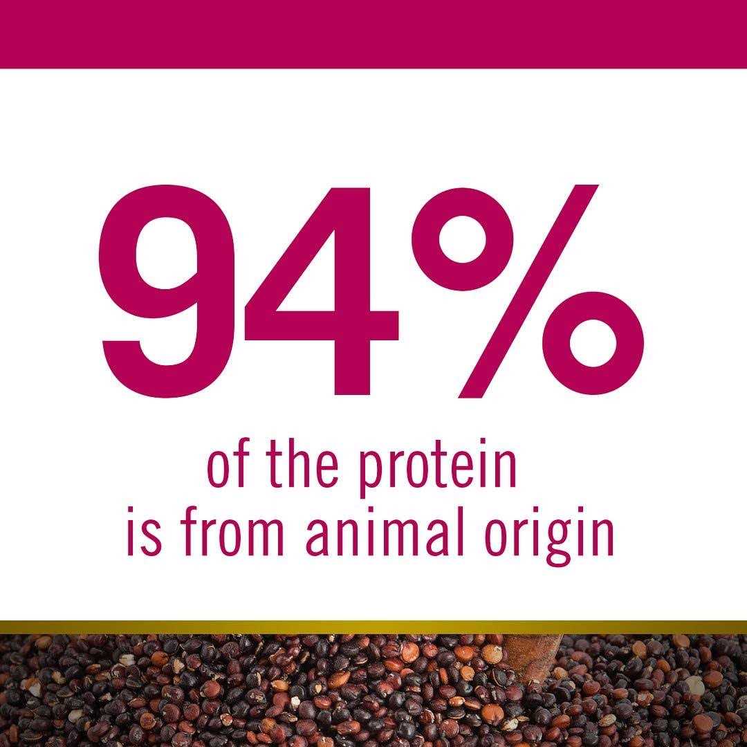 Quinoa Urinary Duck Cat Food H5345