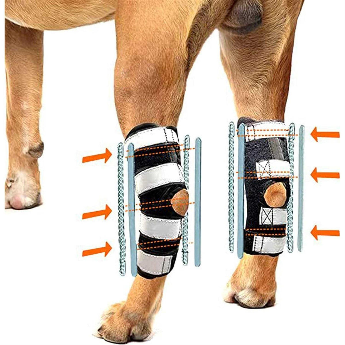 3-in-1 Dog Rear Leg Support Splint Braces O928565