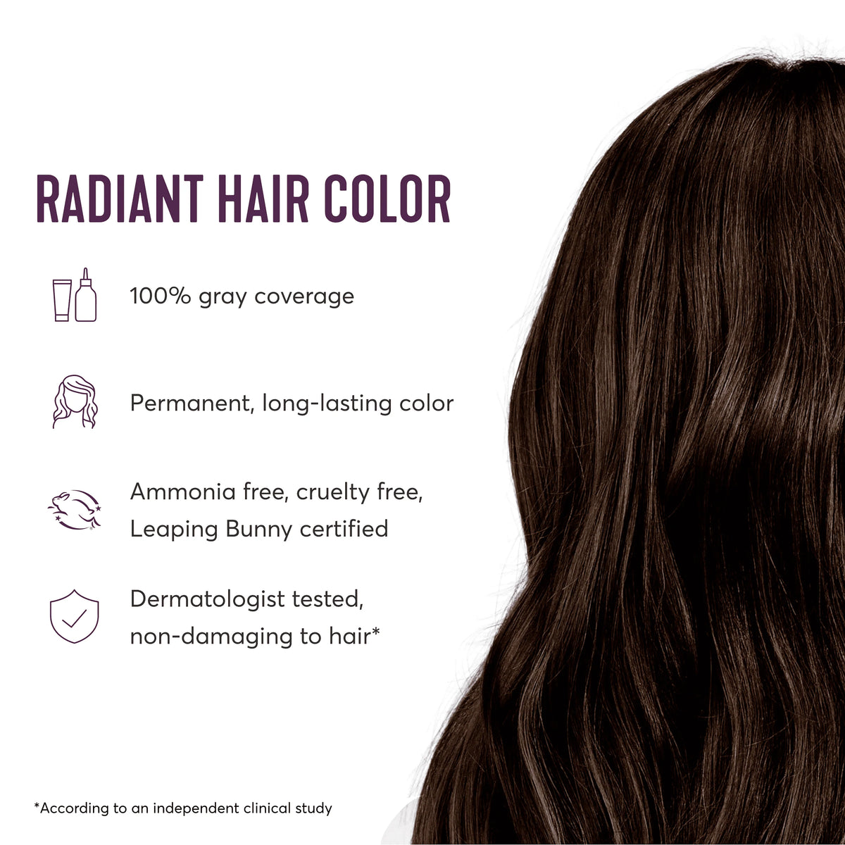 Permanent Hair Color Kit, True Medium Brown, 8-Piece Kit I7709