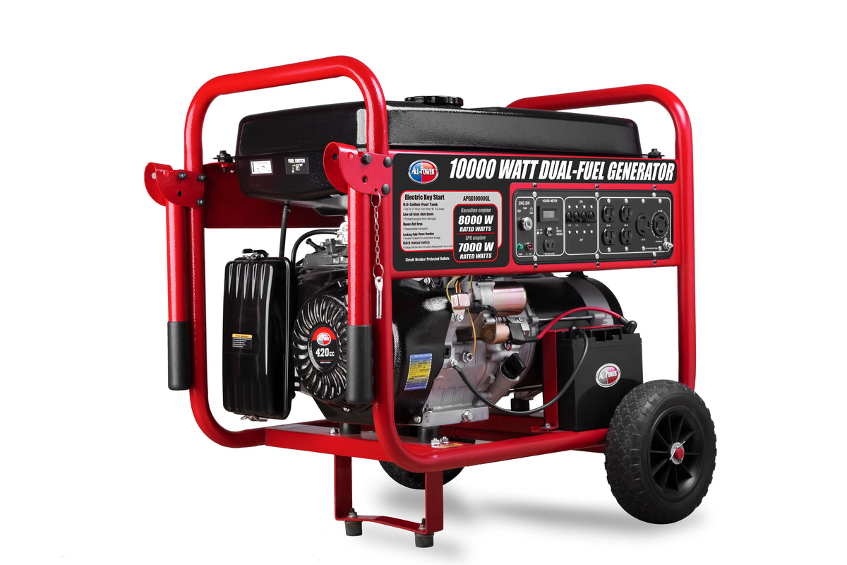 10000 Watt Dual Fuel Portable Generator with Electric Start P49180