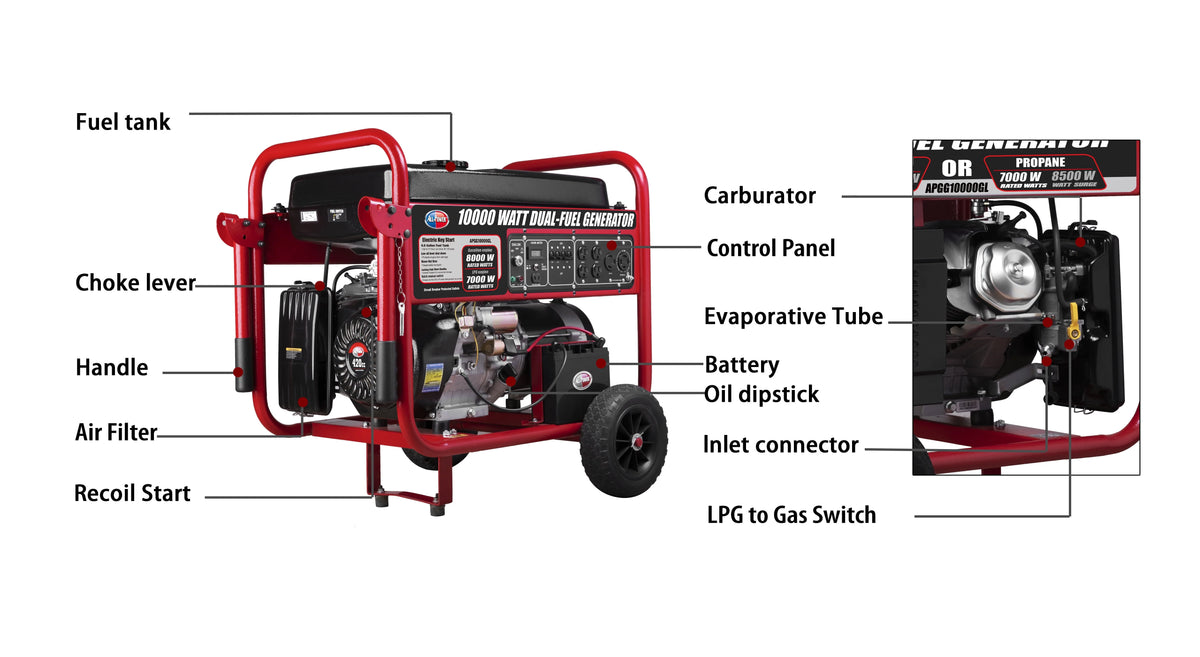 10000 Watt Dual Fuel Portable Generator with Electric Start P49180